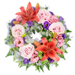 A dignified circular wreath is shown on a pure white background, allowing the colours and forms of each bloom to stand out clearly. The composition is anchored by two striking orange-red Asiatic lilies, placed opposite one another along the ring. Their broad, star-shaped petals are fully open, framing prominent stamens and creating glowing focal points that add warmth and quiet strength to the tribute. Around them, clusters of light pink roses, some with slightly deeper pink edges, sit in generous groups, their velvety petals unfurling in soft spirals that convey comfort and tenderness. Between the roses and lilies, smaller lisianthus blossoms in soft pink and deep lavender-purple fill the spaces, their ruffled, cup-like shapes providing gentle texture and visual depth. Threaded delicately throughout the wreath are tiny sprays of lavender-blue filler flowers, likely statice, that lend a fine, airy haze and connect the different elements. The structure of the wreath relies on lush greenery: muted, silvery eucalyptus leaves, darker foliage, and subtle fern fronds form a dense, supportive background. Here and there, spiky blue eryngium thistles emerge, adding a sculptural, cool-toned contrast that enhances the softer petals. A few unopened lily buds nestle among the leaves, suggesting ongoing life and the continuing presence of cherished memories. Bright green folded leaves, possibly Ti or aspidistra, are carefully placed near the lilies, adding a neat, contemporary touch that reflects skilled local floristry. Suitable for a funeral or memorial service in a Mill Hill church or crematorium, this wreath offers a serene, heartfelt expression of sympathy and remembrance.