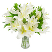 A luminous, carefully gathered bouquet of pristine white lilies fills the image, arranged in a simple clear glass vase and set against a flawless white backdrop. Each trumpet-shaped bloom displays six broad, satiny petals that unfurl in soft, graceful curves; their colour is a brilliant, luminous white with a faint wash of creamy yellow and pale green at the throat that lends a quiet warmth. From several open flowers, long, slender stamens reach outward-pale greenish-yellow filaments topped with earthy brown anthers-that provide delicate, tactile contrast against the smooth petals. The lilies sit amid abundant, glossy lance-shaped leaves in a deep verdant green that breathe volume and a natural, cooling depth into the composition. Through the glass vase clear water catches the light and the pale green stems are visible, trimmed neatly and extending down to the sturdy base. There is a subtle freshness in the portrayal: the blooms read at peak, the surfaces unblemished, the bouquet suggesting recent careful handling and expert conditioning. Light is soft and even, as if from a cool morning on The Broadway in Mill Hill, lending the arrangement a serene, contemplative mood. The overall effect is one of purity and calm-a floral statement suited to condolences and memorial tributes, a refined centrepiece for quiet interiors, or a thoughtful, understated gift. A gentle suggestion of sweet, powdery lily scent is implied, inviting reflection and a sense of peaceful presence without overwhelming the viewer.