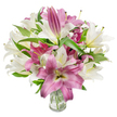 A lush, studio-lit bouquet of oriental lilies fills the frame, an elegant composition of creamy off-white and deep fuchsia blooms set against a pristine white backdrop. The arrangement is full and rounded, with numerous lilies in various stages - from tight, elongated buds to wide-open trumpet-shaped flowers - creating a sense of movement as if the stems are gently unfurling toward the light. The white lilies carry a soft, warm cream tone with faint yellow-green throats that catch the light, while the pink-to-magenta blossoms show velvety petals, subtle lighter veins, and occasional creamy centers that add dimensional contrast. Many of the open flowers reveal delicate stamens and slender pistils, their anthers dusted with fine pollen that lends a touch of naturalism and immediacy. Interwoven among the heads are abundant dark green, lance-shaped leaves whose glossy texture and pointed forms frame the petals and deepen the bouquet's visual richness. The stems are neatly gathered and displayed in a simple clear glass vase, visible at the bottom of the image; the transparency reveals trimmed green stems and clear water, underlining the freshness and careful handling by the florist. Bright, even lighting sculpts the petals' satin surfaces and emphasizes the interplay of shadow and highlight across petals and leaves, evoking a quiet, refined celebration. As if arranged for a Mill Hill gathering or a thoughtful gift delivered to a nearby home by a local florist, this bouquet reads as both luxurious and familiar - a floral portrait that suggests fragrance, tenderness, and enduring beauty.