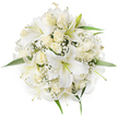 A large, perfectly rounded bouquet photographed from directly above against a pure white backdrop, its dense composition a study in ivory and snow-white textures. At the heart of the arrangement several broad-petalled white lilies open like small trumpets, their pale green stamens and faint yellow anthers visible and adding a whisper of colour amid the white. Around and between the lilies sit numerous creamy white roses, many held in tight bud or just beginning to unfurl so that their layered, velvety petals read as soft spirals from this aerial viewpoint. Tiny clouds of Baby's Breath (Gypsophila) are sprinkled throughout, their minute, frothy blooms giving an ethereal, airy finish to the spaces between larger flowers. A few vibrant green leaves edge the bouquet, the glossy foliage peeking out like gentle punctuation that defines the round silhouette and offers a fresh visual counterpoint to the monochrome blooms. The clean studio lighting emphasizes the subtle differences between bright white petals and warm cream tones, and suggests the bouquet's smooth, tactile surfaces - cool, satiny lilies and the plush touch of newly opened rose petals. Emotionally the arrangement feels calming and celebratory at once: purity and quiet joy suitable for a bridal posy, an elegant table centrepiece, or a respectful sympathy arrangement. As a local Mill Hill florist might note, this composition reflects the classic tastes often requested for weddings at nearby Mill Hill Village and quiet ceremonies at Mill Hill Park, radiating timeless refinement and the comforting scent of lilies and roses in a room filled with gentle daylight.