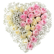 Refined heart-shaped floral tribute ideal for funerals and memorial services in Mill Hill, composed of fresh roses and baby's breath and shown against a crisp white background. The overall structure forms a perfect, generous heart, clearly divided down the middle with a straight, visible line that separates yet unites the two halves. On the left, countless creamy white and pale yellow roses are tightly arranged, their velvety petals layered in soft spirals that convey calm, innocence, and a gentle release. On the right, the composition is matched by an equal number of open, medium pink roses with slightly deeper tones at their centres, radiating warmth and long-lasting affection. Small, airy clusters of white baby's breath (gypsophila) are carefully threaded throughout the design, filling tiny spaces between the roses and tracing both the inner divide and the outer curves of the heart. These delicate dots of white introduce a misty, cloud-like overlay that softens the strong blocks of colour and adds a sense of lightness. Without any foliage or ribbon, the focus rests on texture, shape, and the symbolic pairing of cream and pink. It's easy to imagine this piece resting serenely on a coffin at a Mill Hill service, or placed on an easel at Hendon or Barnet crematoria, where the heart form remains clear from every angle. Crafted as if by an experienced local florist, the tribute feels both modern and timeless, offering a simple, heartfelt way to express love, remembrance, and gratitude during a final farewell in North West London.