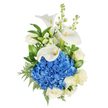 Presented vertically against a pure white background, this bouquet reads as a study in serene contrast and refined texture. At its heart sits a dense, rounded cloud of deep blue hydrangea-hundreds of tiny, velvety florets packed together to form a plush, almost tactile focal dome. Three sculptural white calla lilies rise above and through that cobalt mass, their smooth, trumpet-shaped petals curving like porcelain and cradling bright yellow spadices that give a subtle, sunlit point of warmth. Creamy white roses are tucked between the larger elements, their full-petalled cups softening the composition and lending a classic, comforting note. Vertical sprays of white stock add height and an airy rhythm, their clustered little blossoms creating a delicate, fragrant backbone that draws the eye upward. A variety of lush greenery frames the blooms: broad, glossy leaves that deepen the tonal contrast, and feathery leatherleaf fern fronds that introduce a fine, lace-like texture along the edges. The lighting is soft and even, allowing the whites to glow with gentle warmth while the blues remain vivid and clean. The overall mood is dignified and calming-perfect for conveying sympathy, quiet admiration, or marking a thoughtful anniversary. As a Mill Hill florist would arrange for delivery across Mill Hill Broadway and the village, this design balances modern sculptural lines with timeless tenderness; you can almost sense the faint, fresh scent of roses and stock mingling with the cool, green notes of the foliage.