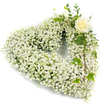 A serene heart-shaped wreath composed almost entirely of cloud-like white Baby's Breath (Gypsophila), the tiny blossoms packed closely to form a soft, pillowy contour that reads as pure and comforting at a glance. Toward the upper right curve a single creamy-white rose opens just enough to reveal its classic spiral of petals, a quiet focal point that reads like a gentle blessing against the sea of pearly blooms. Sprigs of glossy, variegated ivy and delicate eucalyptus-like foliage weave through the gypsophila and trail softly along the right side, their cool greens adding depth, shadow and a subtle textural contrast to the luminous whites. Soft studio light picks out faint pearlescent and ivory tones across the little flowers, while a faint scent of fresh rose and the dry, sweet herbaceous note of the gypsophila can almost be imagined-clean, restrained, and consoling. Presented against a crisp white background, the arrangement feels weightless and respectful, ideal for a funeral service, memorial or a sympathy tribute delivered to a local chapel or family home. Made with a florist's careful touch, each stem is wired and nestled to maintain the heart's perfect silhouette, offering a message of enduring love and remembrance. As a Mill Hill florist familiar with local needs, we imagine this wreath placed gently near a service programme at Mill Hill Broadway or rested by a family photograph in Mill Hill Park-a tender emblem of comfort for those saying goodbye in quiet, personal ceremonies. This composition reads as dignity and solace, an understated expression of condolence rendered in white and green.