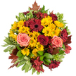 Seen as a lush, circular hand-tied bouquet, this autumnal arrangement is photographed from above to reveal dense layers of seasonal colour and texture. Bright golden-yellow button chrysanthemums form a sunny, cheerful core; their clustered, almost pom-pom heads catch the light and create a warm foundation beneath deeper tones. Scattered among them are flat-faced, deep burgundy gerbera daisies whose dark centres and bold petals give dramatic punctuation, while fully opened roses in velvety crimson, coral-pink and soft peach add a romantic, satin softness. Small, star-shaped alstroemeria in cranberry and reddish-brown tuck into the gaps, their delicate stripes and slender petals adding intricate detail and depth. Variegated glossy foliage - broad green leaves edged in cream and smaller, fresher greens - frames the composition and lends a crisp counterpoint to the warmer blooms.
Reddish-brown autumn leaves, suggestive of maple or oak, peek from the outer ring and reinforce the harvest feeling, introducing a rustic, woodland note. The overall scent is faintly sweet with fresh, green undertones; the textures range from the resilient firmness of chrysanthemums to the cool smoothness of leaves and the velvety give of rose petals. This bouquet radiates welcome and gratitude, ideal for a Thanksgiving table, an intimate autumn wedding, or to brighten a birthday in Mill Hill Village or the nearby lanes off Bittacy Hill. A local florist's hand is evident in the balanced composition, where every stem is placed to celebrate the season's warmth and comforting colour palette.