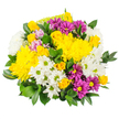 The bouquet shown here is a bright, uplifting mix of flowers, carefully composed to feel both joyful and accessible, as if it has just been prepared by Flowers Mill Hill for a same-day delivery. At its core are large yellow chrysanthemums, their abundant petals forming soft, fluffy domes that immediately catch the eye; some blooms are fully expanded, showcasing the intricate layering of each petal, while others remain slightly rounded with a hint of green at the centre, suggesting freshness and longevity. Woven in between are dainty yellow spray roses, each stem holding a handful of buds and small blossoms whose velvety petals curl inwards, adding texture and a subtle sense of movement. Offsetting these warm tones are white daisy chrysanthemums, their crisp petals radiating neatly around pale green centres, bringing a breath of clarity and making the bouquet feel light and open rather than dense. For contrast, pockets of magenta and deep purple daisies are scattered throughout, every flower anchored by a yellow centre that creates harmony with the surrounding chrysanthemum heads; these darker hues deepen the visual field and lend a playful, slightly modern twist. Gentle touches of pastel pink or lilac flowers appear here and there, softening transitions between colours and giving the composition a quiet hint of romance. Encasing all the blooms is a collar of glossy dark green foliage, the leaves overlapping in layers to create a full, rounded outline, much like the neat greenery you might find edging gardens around Mill Hill Park. The bouquet radiates warmth and friendly cheer, making it an excellent, budget-friendly choice for birthdays, thank-you gifts, or simple acts of kindness delivered to loved ones across Mill Hill and the surrounding NW7 neighbourhood.