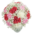 This Mill Hill bouquet radiates warmth and refined charm, capturing the spirit of the area's welcoming community in every ruffled petal. Bold red carnations provide a passionate heart, contrasted by feathers of pink and creamy white blooms, all arranged in a voluminous, rounded dome. Dotted throughout, baby's breath lends a cloud-soft lightness that elevates the arrangement from simply lovely to truly enchanting. Set in a minimalist glass vase, the underlying stems and pure water glimmer with the freshness only a local morning delivery can provide. This bouquet harmonizes energy and softness-its striking tri-colour palette and bright texture suited perfectly for special birthdays, heartfelt anniversaries, or simply to let a Mill Hill friend know you are thinking of them. Every element, from colour to composition, reflects the care and creativity of local florists, ensuring the joy of giving and receiving endures well beyond the first glance.