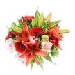Seen from a gentle overhead angle against a crisp white backdrop, this lush hand-tied bouquet reads like a painter's study in warm tones and tactile contrasts. At its centre several large Asiatic lilies in a saturated orange-red unfurl with recurved, speckled petals and prominent dark anthers that give the arrangement a dramatic, sculptural focus; a few lilies remain in tight green-tipped buds, promising the bouquet will open further over the next days. Surrounding those blooms are deep crimson Gerbera daisies whose many slender petals radiate from almost-black centers, adding a bold, graphic rhythm. Interspersed among the stronger hues are soft blush-pink roses, their satin-like petals ranging from compact spirals to looser, romantic cups that soften the composition. Small clusters of glossy red hypericum berries punctuate the massed blooms like cheerful, jewel-bright accents, their smooth, round surfaces catching the light against the matte petals. The whole is densely filled with varied green foliage - broad solid leaves that form a deep, calming backdrop and several variegated sprays with pale green-and-cream streaks that introduce subtle brightness and depth. Textures shift from the velvety roses to the papery lilies and the waxy berries, while a faint sweet-spicy scent seems to hover, suggesting late-morning freshness from a nearby market stall. The bouquet's rounded silhouette and meticulous placement of color and leaf reveal the hand of an experienced florist in Mill Hill, and it's an ideal choice to mark birthdays, anniversaries, or to brighten a home table after a walk through Mill Hill Park. Its vibrant palette feels celebratory without being flashy, a balanced statement of warmth and care.