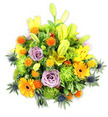 A lush, mounded bouquet set against a clean white backdrop, the composition radiates bright, celebratory energy while maintaining a refined, artisanal feel. Dominant yellow Asiatic lilies reach upward from the centre, some fully open with freckled throats and curved stamens, others still elongated chartreuse-yellow buds that lend vertical rhythm and the promise of unfolding scent. Soft lavender-purple roses are tucked in among the warmer tones, their petals unfolding in tight spirals that soften the palette and introduce a quiet, romantic note. Large, sunny orange Gerbera daisies punctuate the surface with flat, ray-like petals and darker central discs, drawing the eye in joyful, circular beats. Velvety lime-green button or cushion chrysanthemums create mossy, ruffled masses that fill and round the arrangement, giving it a comfortably abundant silhouette. Scattered throughout are small, spherical orange and golden-yellow accents - playful, almost spiky Craspedia-like blooms that add a pop of texture and whimsical rhythm. Cool, architectural blue-grey sea thistles (Eryngium) project from the lower edges and sides with their starry bracts, introducing a striking contrast in both hue and form against the warm oranges and yellows. A variety of fresh green foliage - broad lily leaves and glossy fillers - knits the elements together, creating depth and a natural, garden-fresh impression. Bathed in soft, diffuse light, this arrangement conveys celebration, comfort, or remembrance; a versatile bouquet perfect for brightening a home, marking a birthday, or offering sympathy with warmth. As a Mill Hill florist would note, its colour harmony and tactile contrasts make it as fitting for a cheerful window table by The Ridgeway as for a thoughtful delivery to a neighbour in Mill Hill Broadway.