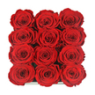 In this close, overhead composition, twelve sumptuous red roses are arranged in a perfectly ordered 3x4 grid, their blooms fitting together like pieces of a luxurious floral puzzle. Each rose is at the height of its beauty, petals unfurling in smooth, velvety spirals that create intricate patterns at the heart of every flower. The deep crimson hue is consistent across the arrangement, rich and saturated, with the kind of depth that feels both intimate and dramatic, akin to the warm glow of a Mill Hill sunset over the rooftops. Soft, even lighting washes over the petals, picking out delicate highlights along their curved edges while allowing the inner folds to retreat into shadow, giving each bloom a sculpted, almost three-dimensional presence. The roses are nestled so tightly that no stems or greenery are visible; instead, they form a single, continuous plane of colour that commands the viewer's attention. A slim, glossy border of the dark presentation box peeks through at the bottom, hinting at a high-end, gift-ready design often associated with preserved or eternity roses chosen for their lasting perfection. This careful, symmetrical layout evokes a sense of deliberate romance and commitment, as though the sender chose not just roses, but an experience to be unwrapped and savoured. One can imagine this box arriving at a doorstep off Lawrence Street in Mill Hill, transforming an ordinary day into a moment of quiet celebration. The image conveys enduring passion, elegance, and the meticulous craftsmanship of a local florist who understands how powerful a simple square of red roses can be.