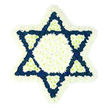 In this image, a beautifully detailed Star of David floral arrangement is displayed against a simple white background, allowing its pattern of white and dark blue flowers to take full focus. The star's outline is encased in a thick, cushion-soft border of white chrysanthemums, each small, multi-layered bloom pressed closely together to create a seamless frame that feels both comforting and refined. At the centre sits a solid white hexagon made from the same blossoms, forming a calm, luminous core. Extending from this centre, six triangular points define the Magen David shape, each one densely layered with deep navy or indigo flowers that introduce a profound contrast in colour and mood. Set into the base of every blue point is a smaller triangle of white blooms, carefully placed so that the design becomes a delicate interplay of interlocking white and blue sections, echoing the colours of Jewish heritage. The textures vary from the feathery softness of the perimeter to the compact richness of the darker sections, suggesting careful, deliberate work by skilled local florists at Flowers Mill Hill. Though the background remains plain, it is easy to imagine this tribute resting near a coffin at a synagogue service, placed in a chapel near Mill Hill Broadway, or positioned lovingly in a shiva home overlooking the green spaces around Mill Hill Park. The overall effect is quietly powerful: a floral sculpture that conveys respect, solace, and an enduring connection to Jewish faith and community for families throughout Mill Hill and the surrounding North West London neighbourhoods.