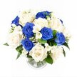 In this image, a graceful blue and white sympathy bouquet is displayed in a clear glass vase, photographed from a slightly raised angle against an immaculate white background that makes the colours appear calm yet distinct. The arrangement is densely filled, forming a rounded dome where every bloom touches its neighbour, evoking a sense of closeness and quiet support. Deep royal blue roses are scattered throughout, their velvety petals arranged in spirals that create pools of rich colour, reminiscent of evening skies over Mill Hill's gentle hills. Cradled among them are creamy white and ivory roses, their broader, softer petals unfurling in layered cups that soften the strong blues and offer a feeling of peace and purity. Between the roses, slender white freesia stems reach out on gentle arcs, each bearing clusters of small, trumpet-shaped blossoms that add delicacy, movement, and the impression of a fresh, subtle fragrance. Fine sprigs of gypsophila, or baby's breath, are threaded carefully between the larger flowers, their myriad tiny white blooms filling in any gaps and lending the whole bouquet a misty, cloud-like softness. Around the base and subtly between blossoms, dark green foliage provides structure and depth, grounding the airy whites and blues with a natural, earthy touch. The vase is a clear, cylindrical form with a ribbed base that catches small highlights; the neatly cut stems are visible through the water, revealing the careful craftsmanship of the florist. Altogether, the bouquet radiates composed elegance and heartfelt sympathy, ideal for comforting a grieving family in Mill Hill, whether placed in a peaceful sitting room near Mill Hill East or brought to an intimate remembrance gathering close to Mill Hill Village.