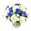 This bouquet, photographed in bright, even light against a spotless white backdrop, presents a thoughtful union of royal blue and ivory roses arranged in a clear glass vase, ideal for a sympathy gesture that is both modern and deeply respectful. Roughly half of the roses are a rich blue, with layered, velvety petals that spiral into a darker core, lending the bouquet a sense of depth and emotional weight. Interspersed with them, the creamy ivory roses open more softly, their warm, pale tones catching highlights that make them appear almost glowing beside the deeper blue. Slender stems of white freesia weave among the roses, carrying small trumpets and buds that arc gently outward, creating slender lines of movement and suggesting a light, airy scent. Tiny sprays of baby's breath speckle the arrangement with miniature white flowers, forming soft, cloud-like clusters that fill gaps and temper the boldness of the roses. At the base and peeking between blooms, glossy dark green leaves add a backdrop of natural depth, keeping the bouquet's rounded shape tidy and balanced. The straight-sided glass vase is clear and unadorned, revealing neatly trimmed stems gathered together in clean water that subtly reflects the bright surroundings, much as you might see in a tidy front room in Mill Hill. The atmosphere conveyed by the image is one of calm composure and gentle remembrance, perfectly suited to condolence deliveries around Mill Hill Broadway, quiet residential lanes near Mill Hill School, or peaceful homes bordering local green spaces, where a simple yet striking floral tribute can offer comfort without overwhelming the senses.