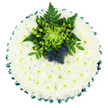 A round chrysanthemum cushion designed for a funeral or memorial is shown from above, resting on a white background that emphasises the calm simplicity of its colours. The base of the tribute is formed entirely from small white chrysanthemums, each bloom tightly set against its neighbour to create a seamless, cushioned surface. Their delicate petals layer softly around muted green centres, producing a gentle texture that suggests comfort and peace, much like the stillness of Mill Hill's green spaces on a quiet morning. Encircling the flower base, a rich emerald satin ribbon has been pleated into even scallops, its smooth, light-catching surface providing a graceful border that defines the round shape of the design. At the upper centre of the cushion, a vibrant cluster of green and blue elements forms a striking focal point. A lime-green spider chrysanthemum sits at the heart, its long, thread-like petals radiating outward in all directions. Surrounding it are bright, glossy Hypericum berries in fresh apple-green tones, interwoven with dark green leaves and feathery fern fronds that add depth and movement. Nestled securely within this foliage are two distinctive Scottish thistles, their rounded heads covered in fine, spiky bracts shaded in blue-violet hues, providing an intriguing contrast of texture and a quiet echo of Scottish heritage. The overall arrangement, the kind you might request from Flowers Mill Hill for a local service, offers a serene and respectful expression of sympathy, suitable for ceremonies held around Mill Hill Broadway or nearby chapels, where families gather to say a gentle, dignified goodbye.