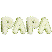 A tender, dignified sympathy tribute crafted as the word PAPA in large, uppercase letters, each character built from a dense carpet of pristine white spray chrysanthemums that form softly domed, cloud-like surfaces. The flowers are closely set so the texture reads as a single plush mass, their slightly ruffled petals catching soft studio light and suggesting a faint, comforting scent. Around each letter a narrow border of pale lime-green ribbon or finely clipped foliage creates a neat, wavy outline that sharpens the letterforms and adds a fresh, natural contrast to the white blooms. The letters sit on a pure white background so the arrangement reads with calm simplicity and solemn clarity, a style often chosen for funerals, memorials, or a graveside service to honour a father or grandfather. From a florist's perspective the work shows careful craftsmanship: blooms individually wired or foam-mounted, edges pleated with ribbon to maintain shape, and a balanced horizontal arrangement that feels measured and respectful. The overall impression is one of peaceful reverence - white for purity and remembrance, green for renewal and hope - and the piece offers a quiet focus for family and friends gathering to remember a loved paternal figure. As a local Mill Hill florist, I imagine this placed near the altar or beside a photo at a wake in the village, where relatives might pause to read the simple, intimate name and reflect on a life well loved.