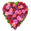 Seen from directly above against a clean white backdrop, this heart-shaped tribute is composed entirely of tightly clustered, fully opened roses that create a sumptuous, velvety surface across the entire silhouette. The palette moves like a painter's wash: deep crimson and burgundy anchor the composition, flowing into classic scarlet and then into soft blush pinks, coral-tinged peaches, and vibrant fuchsia. Interspersed among these are elegant purples - pale lavender, mauve and richer plum tones - giving depth and a jewel-like richness to the heart. Each bloom sits dense against its neighbour, petals unfurled and gently curling at the edges, offering a tactile impression of softness and resilience; the scent, if imagined, would be the warm, earthy perfume of newly cut roses. Around the perimeter a fine, springy border of dark green foliage - like mossy matting or delicate maidenhair-type greens - peeks through, tracing and supporting the heart's precise outline while lending a fresh, restorative contrast. The overhead composition emphasises symmetry and careful craftsmanship: no gaps, every head positioned for maximum impact, the texture almost like a rich textile of petals. The mood is quietly reverent and affectionate, equally suited to declarations of romantic love, the gentle gratitude of Mother's Day, celebratory anniversaries, or the dignified sympathy of a memorial. Locally, this kind of arrangement resonates with neighbours in Mill Hill Village and those who pass the quiet lanes off Mill Hill Broadway when choosing a meaningful floral gift. It reads as a handcrafted statement of devotion, intended to comfort, celebrate, and hold memory.